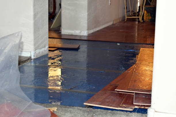 Professional Basement Flood Cleanup technician working in Hewlett, NY